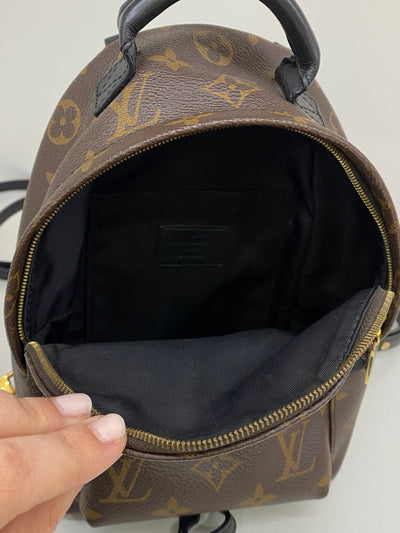Louis Vuitton Mini Palm Springs Backpack Monogram