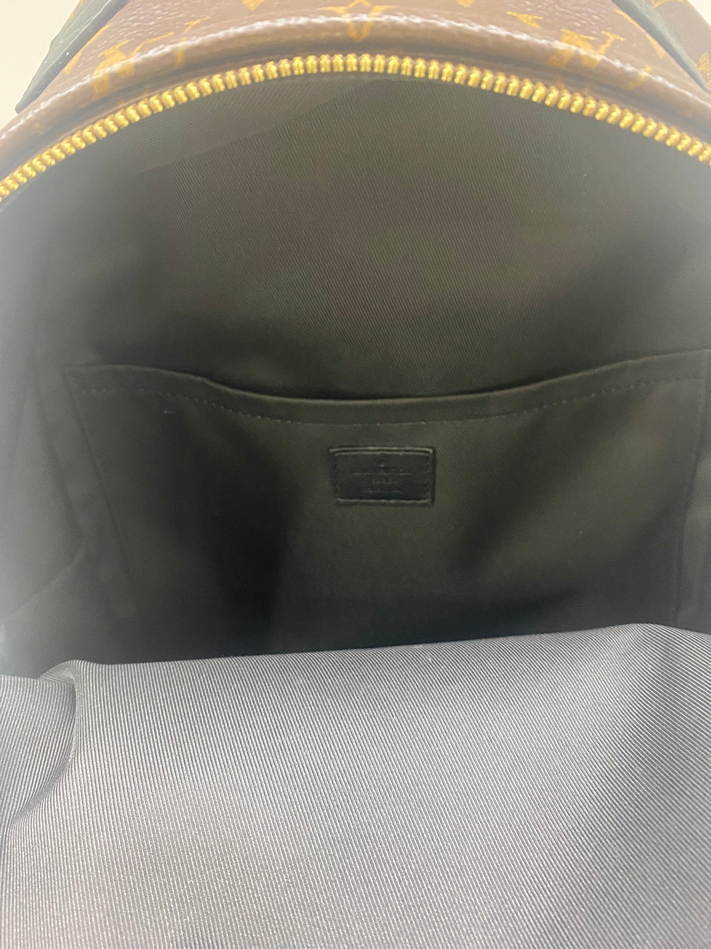 Louis Vuitton Palm Springs Backpack