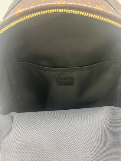 Louis Vuitton Palm Springs Backpack
