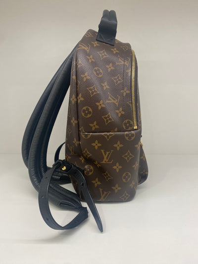Louis Vuitton Palm Springs Backpack