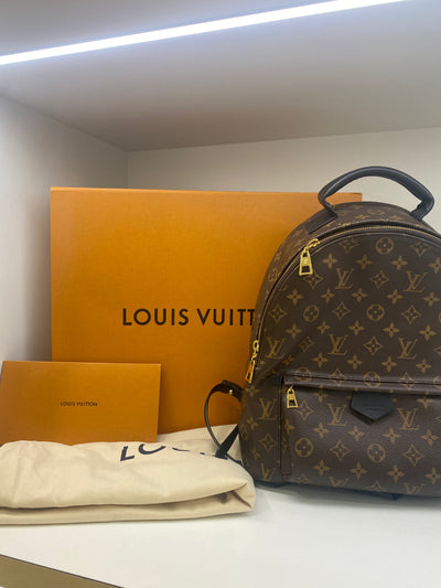 Louis Vuitton Palm Springs Backpack