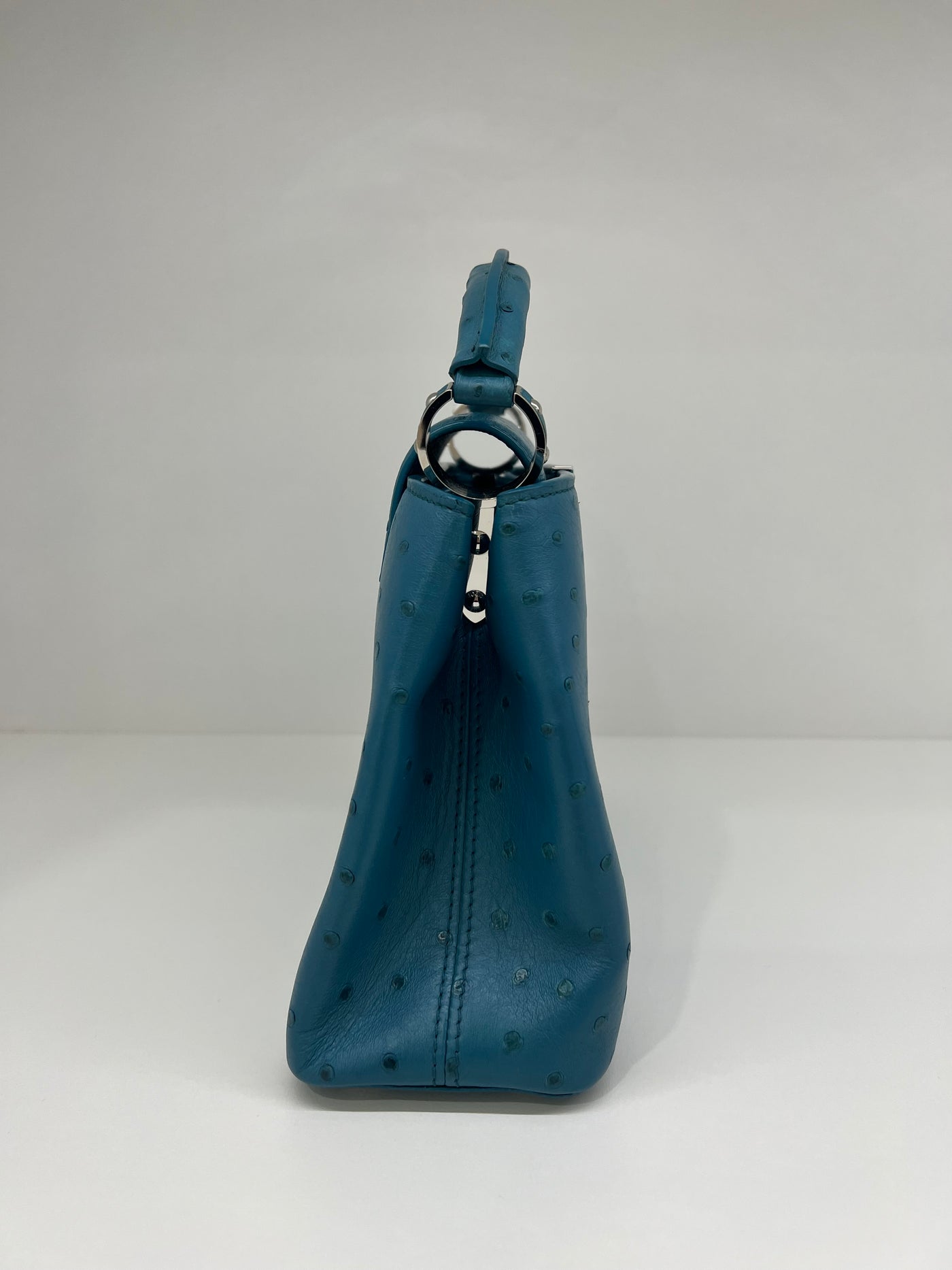 Louis Vuitton Capucines - Ostrich Blue