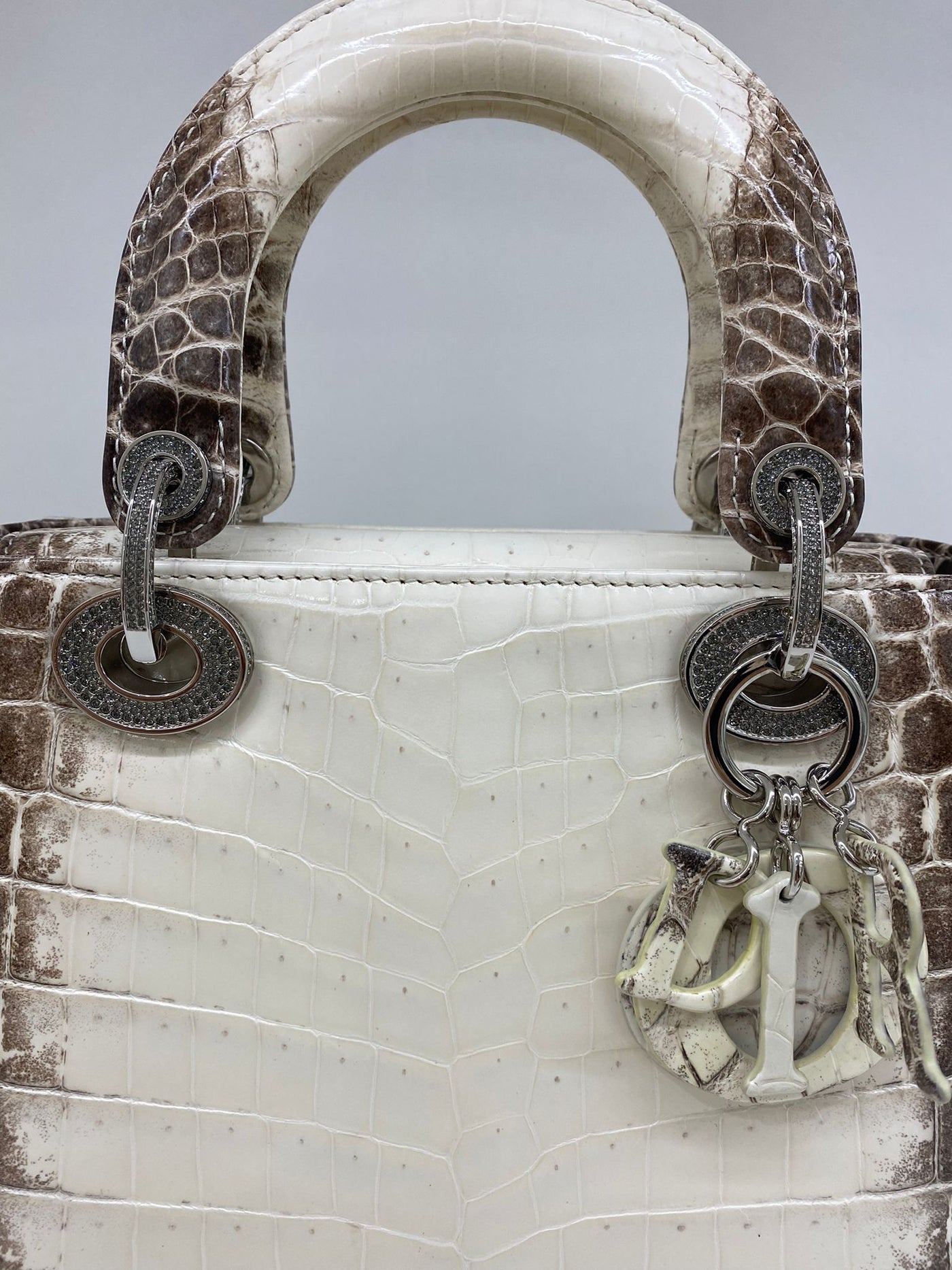 Christian Dior Small Himalayan Crocodile Lady Bag