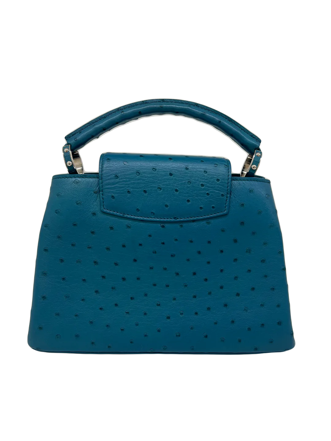 Louis Vuitton Capucines - Ostrich Blue