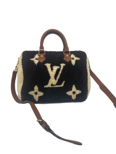 Louis Vuitton Teddy Speedy