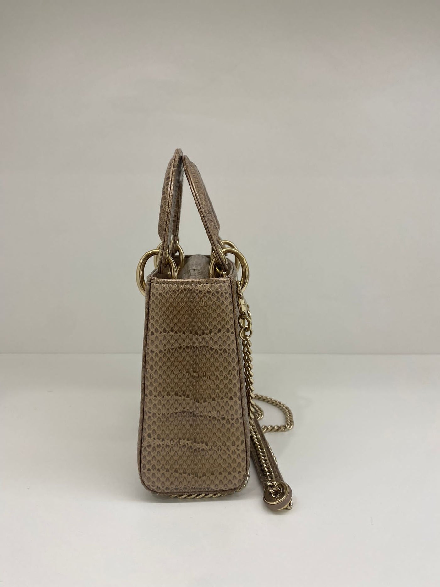 Christian Dior - Lady Dior Mini Watersnake